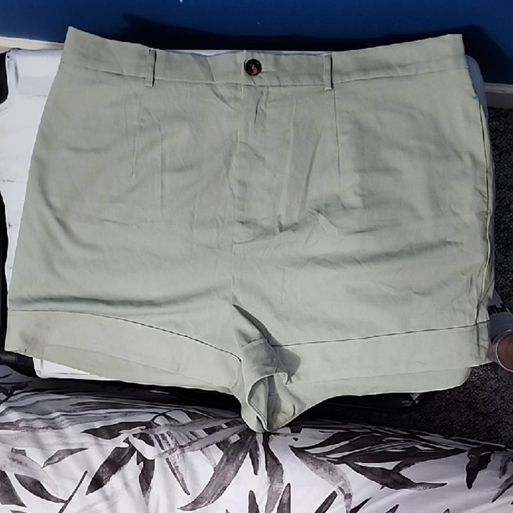 Women's Light Green Shorts